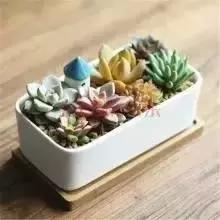 辦公室風(fēng)水禁忌&催財(cái)運(yùn)**！新的一年加薪看這里！