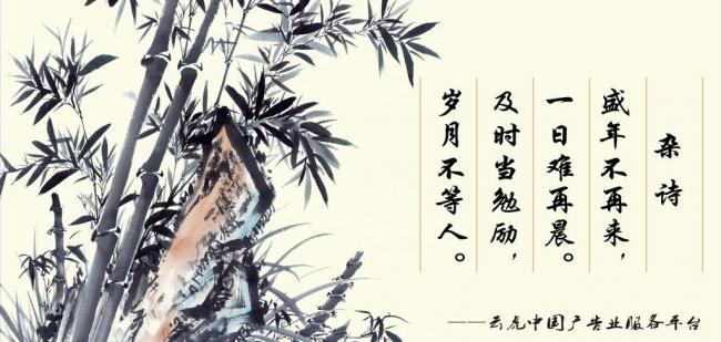 辦公室風(fēng)水?dāng)[件，助你事業(yè)風(fēng)生水起