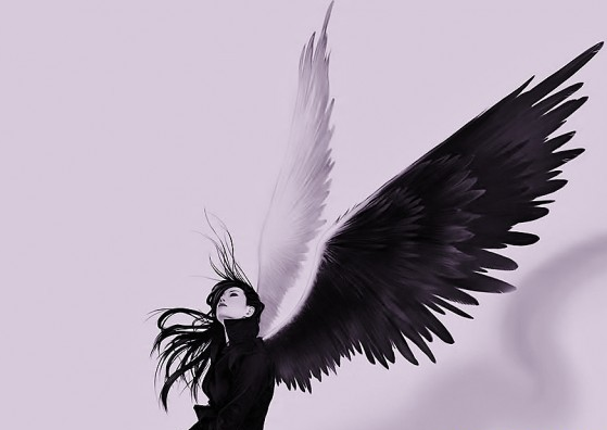 裝修第三方平臺，是裝修行業(yè)的天使還是惡魔