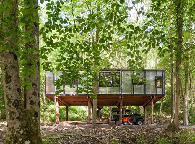 森林中的辦公室也可以很有愛！