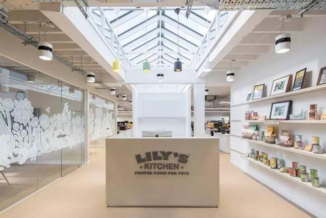 150億市場潛力，辦公室裝修也要開始考慮狗狗的感受了