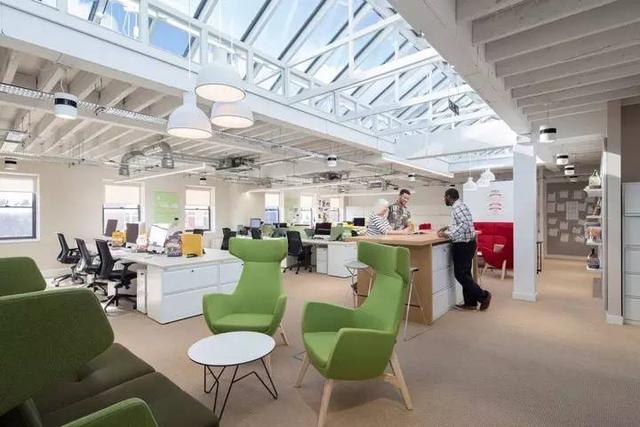 150億市場潛力，辦公室裝修也要開始考慮狗狗的感受了